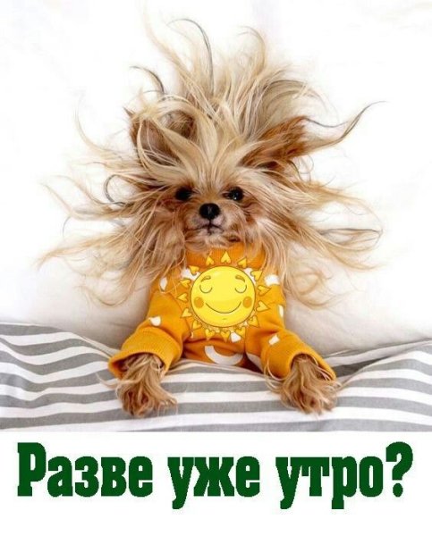 Открытки с добрым утром прикольные