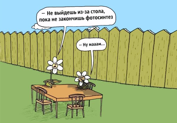 Шутки про биологию