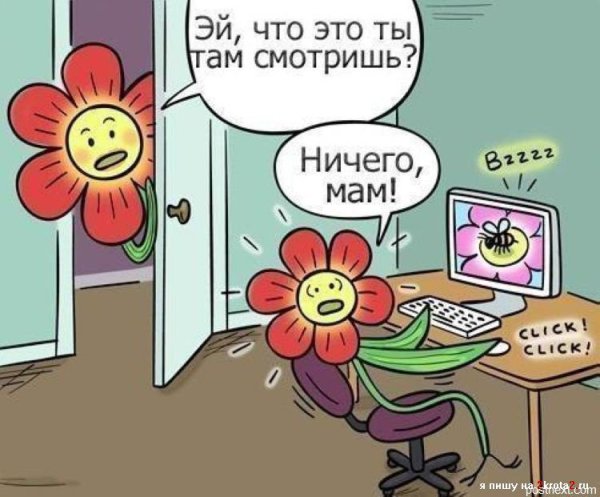 Цветы юмор картинки