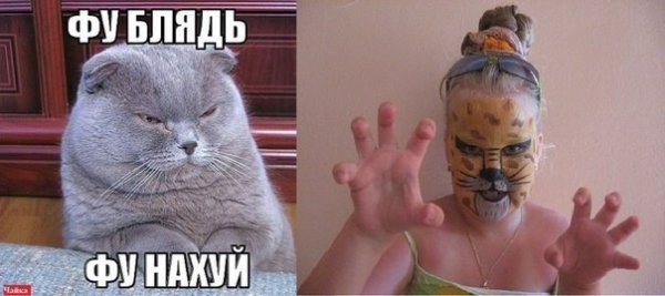 Фу картинки смешные