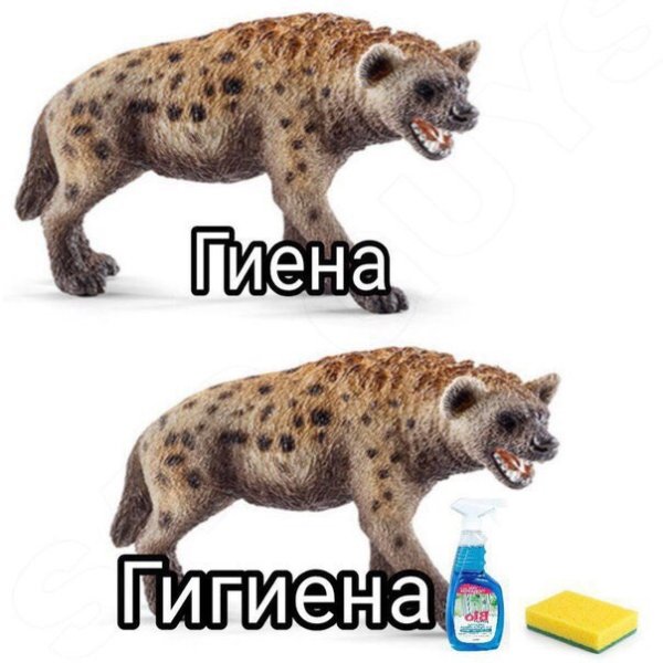 Гиена Мем