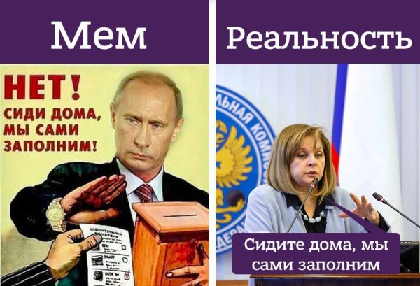 Выборы в России Мем