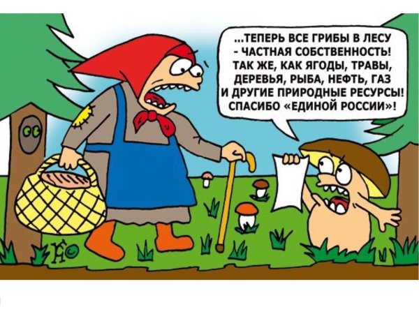 Карикатура сбор грибов