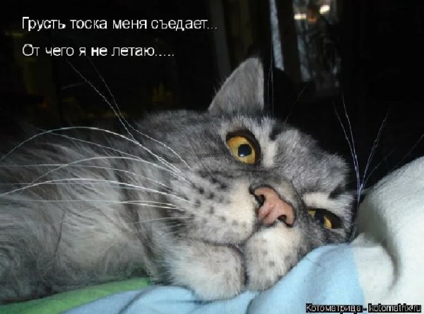 Поесть или поспать
