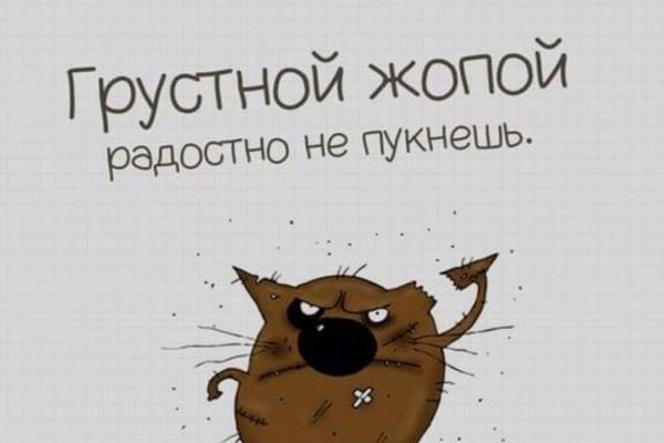 Веселые цитаты