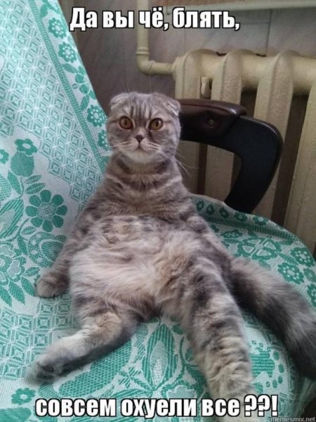 Прикольные картинки охуеть
