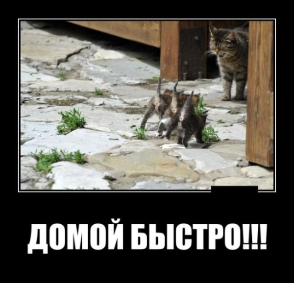 Быстро домой