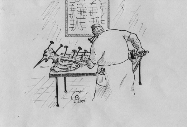 Карикатура на мануального терапевта