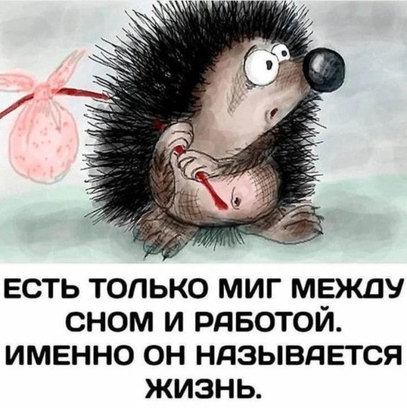 Хороший юмор для хорошего настроения