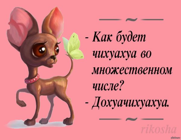 Смешные открытки для поднятия настроения