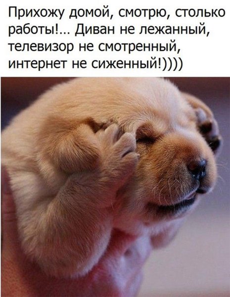 Картинки для поднятия настроения
