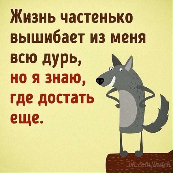 Цитаты с юмором