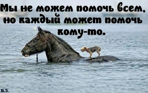 Приколы картинки со словами
