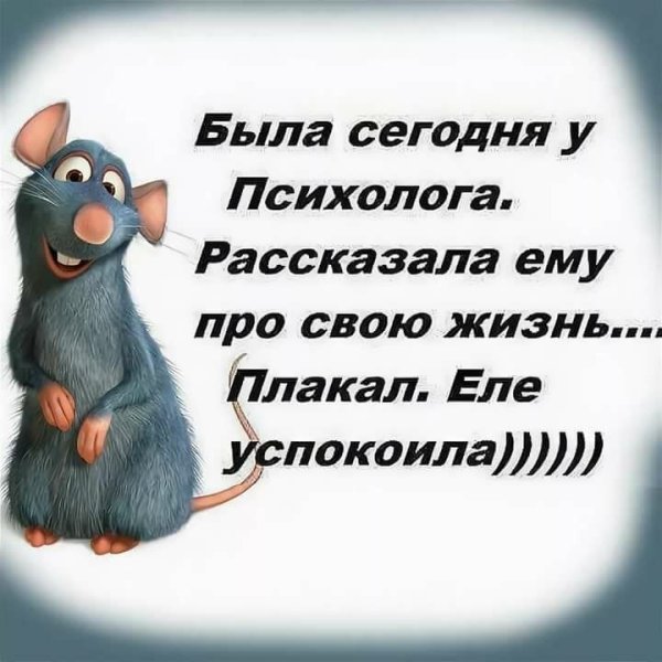 Смешные цитаты