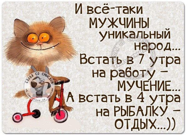 Веселые высказывания