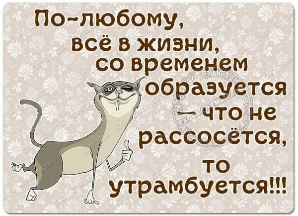 Веселые цитаты