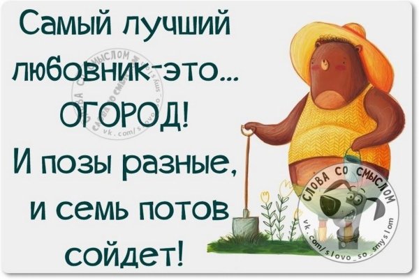 Юмористические высказывания