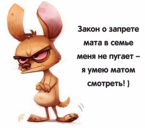 Прикольные высказывания в картинках
