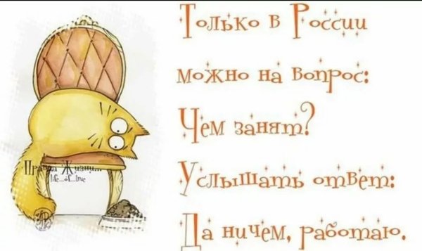 Смешные цитаты в картинках