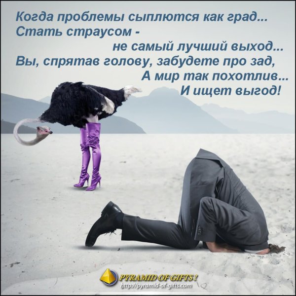 Прикольные фразы