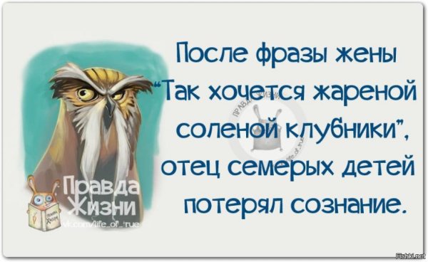 Прикольные мысли и высказывания