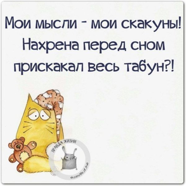Смешные высказывания