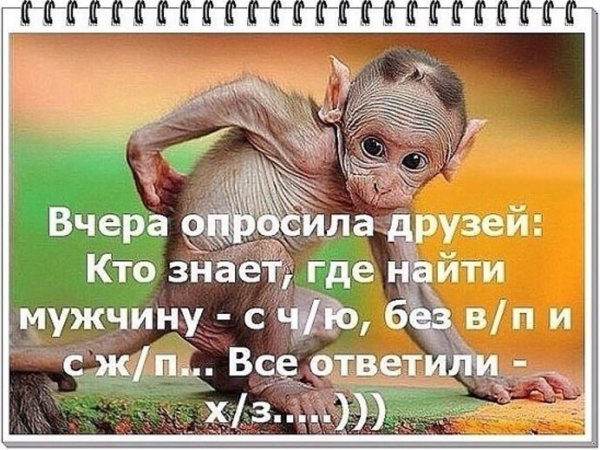 Открытки шуточные где все