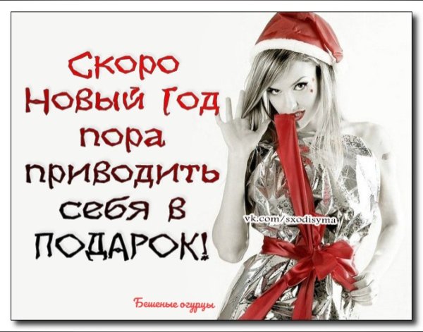 Ищу себе компанию на новый год