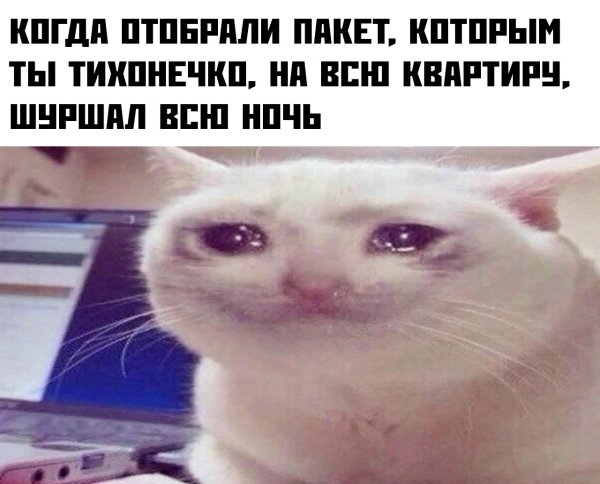 Плачущий кот