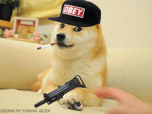 Крутые собаки