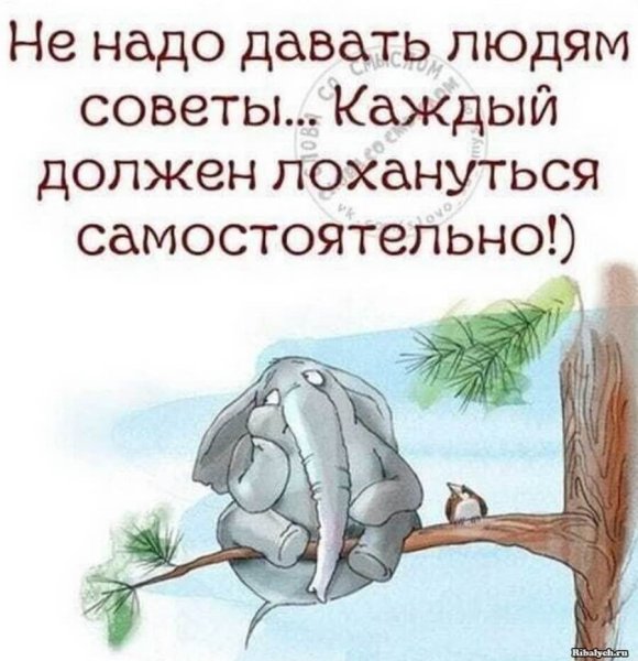 Смешные высказывания