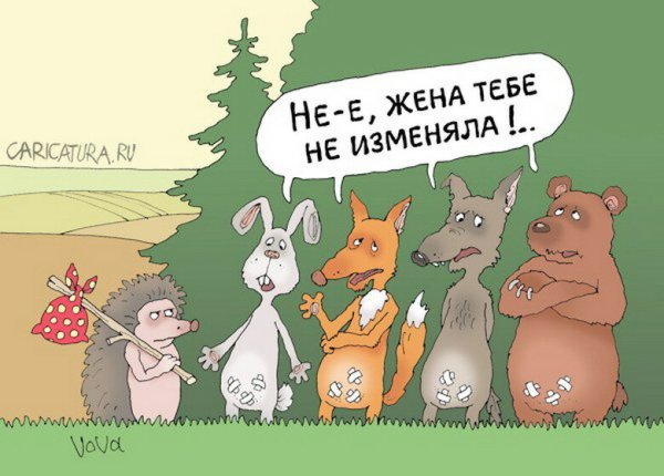 Шутки про измену жены