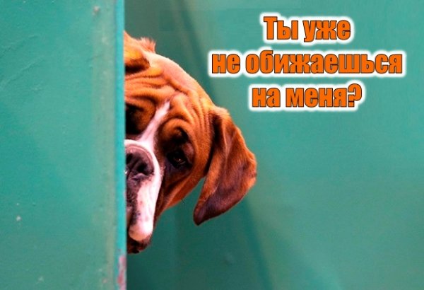 Открытки с извинениями