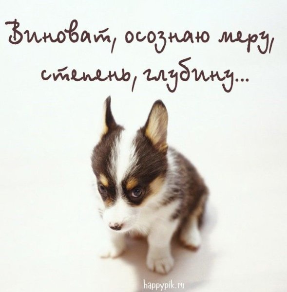 Открытки с извинениями