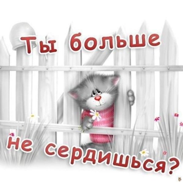 Милая открытка с извинениями