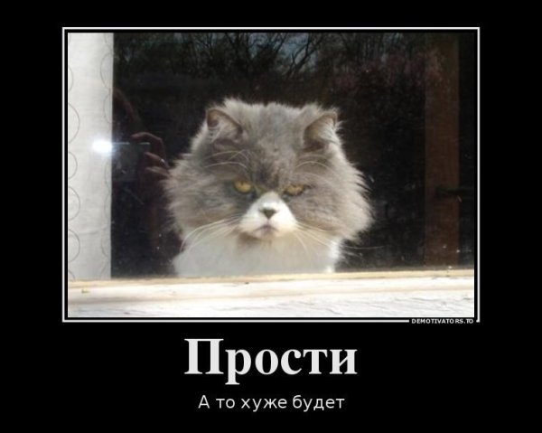 Прости меня прикол