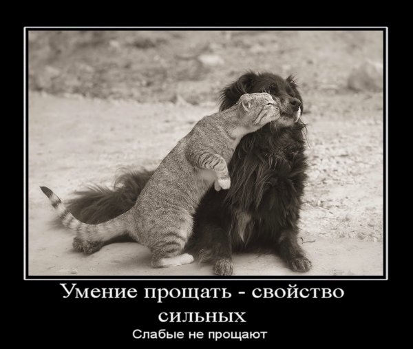 Умение прощать свойство сильных