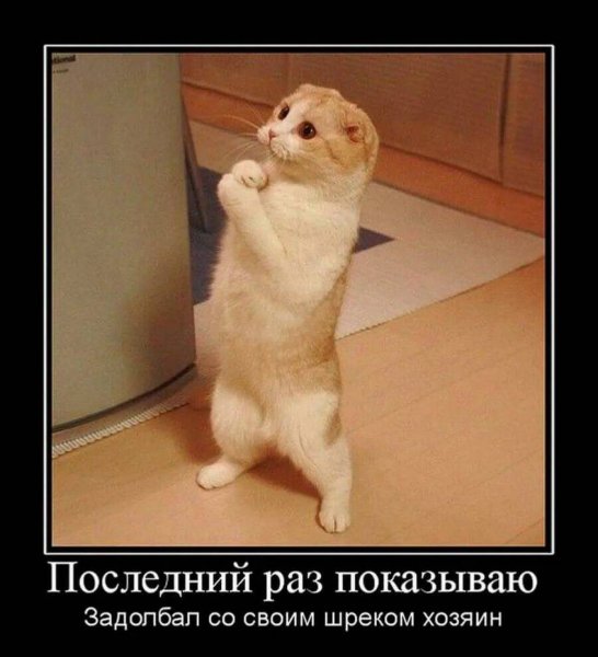 Смешные извинения