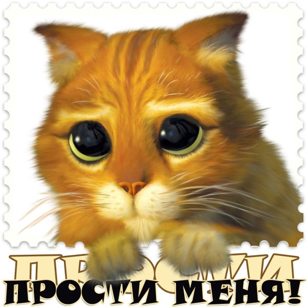 Прости меня пожалуйста