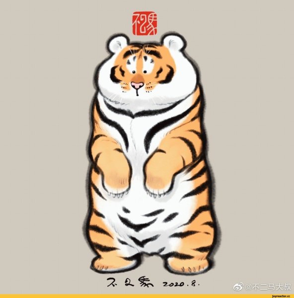 К году тигра