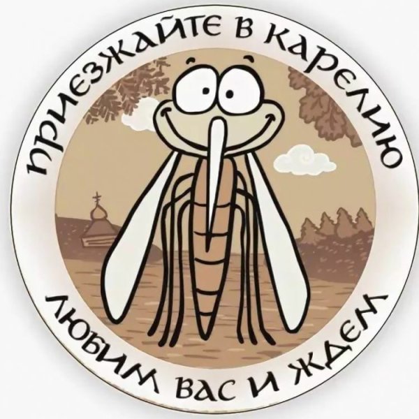 Приезжайте в Карелию комар