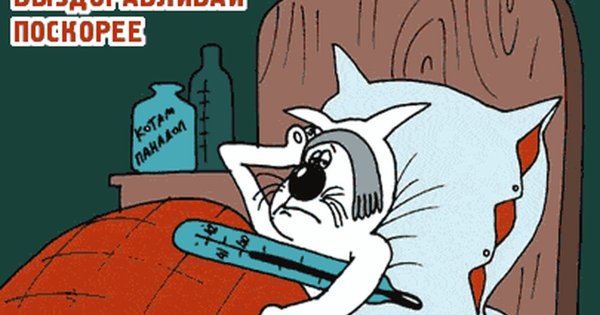 Выздоравливай картинки смешные
