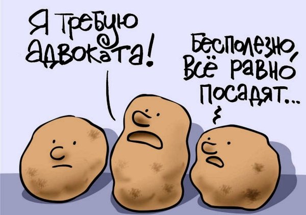 Картофельные