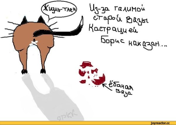 Кастрация кота карикатура