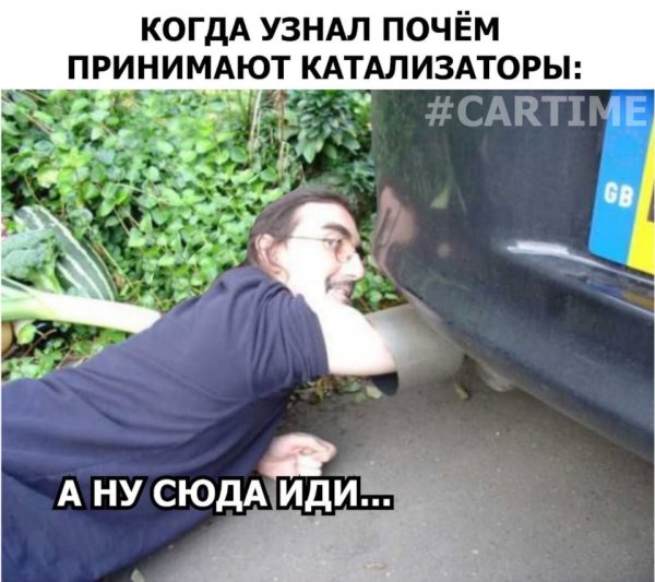 Катализатор картинка прикол