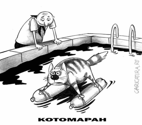 Картинки карикатуры смешные