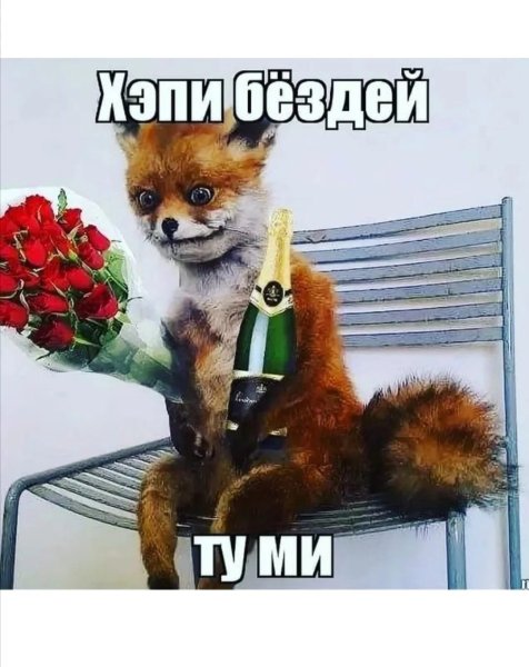 Праздничная лиса