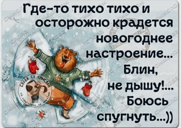Смешные фразы про новогоднее настроение