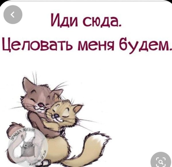 Открытка иди поцелую