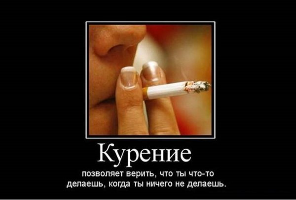 Смешные фразы про курение